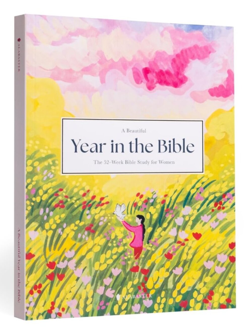 A Beautiful Year in the Bible: The 52-Week Bible Study for Women